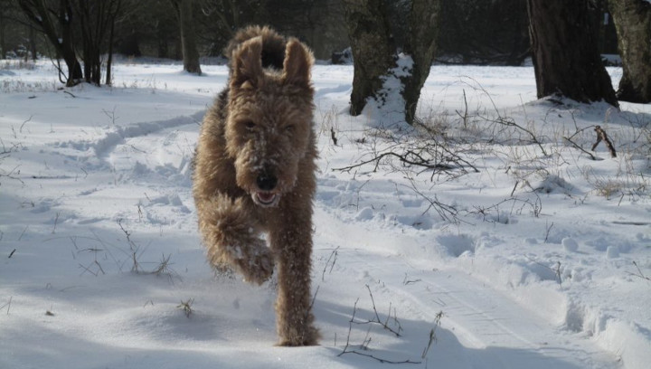 Ted In The Snow